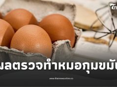 สาวกินไข่วันละ 4 ฟอง หวังลดน้ำหนัก 5 เดือนผ่าน ผลสุขภาพ หมอกุมขมับ