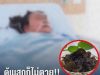 พบ “ตัวการ” ก่อมะเร็งตับ! หมอเตือนพิษร้ายกว่าสารหนู 68 เท่า แต่หลายบ้านยังกินซ้ำๆ