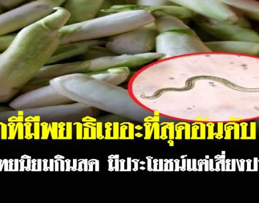 ผักที่มีพยาธิเยอะที่สุดอันดับ 1 คนไทยนิยมกินสด มีประโยชน์แต่เสี่ยงปรสิต