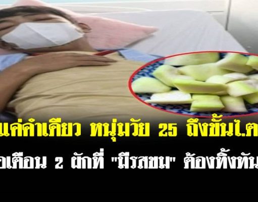 กินแค่คำเดียว หนุ่มวัย 25 ถึงขั้นไตวาย หมอเตือน 2 ผักที่ “มีรสขม” ต้องทิ้งทันที!!!