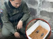 รีโนเวทบ้านแทบช็อก! ลูกสาวเห็นของที่อยู่ใต้เตียงพ่อ นอนทับมานานกว่า 10 ปี