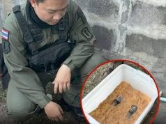 รีโนเวทบ้านแทบช็อก! ลูกสาวเห็นของที่อยู่ใต้เตียงพ่อ นอนทับมานานกว่า 10 ปี