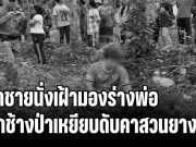 เศร้า! ลูกชายนั่งเฝ้ามองร่างพ่อ ถูกช้างป่าเหยียบดับคาสวนยาง หลังวิ่งย้อนกลับมาช่วยลูกแล้วหนีไม่ทัน
