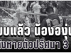 ไร้ปาฏิหาริย์! พบแล้ว น้ององุ่น วัย 7 ขวบ ใต้กอไผ่ หลังหายตัวปริศนา 3 วัน