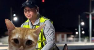 “K9 แซนดี้” ยุติภารกิจค้นหา “สีส้ม” เผยเหตุผลชัด ทุ่มสุดกำลังแล้ว