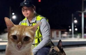 “K9 แซนดี้” ยุติภารกิจค้นหา “สีส้ม” เผยเหตุผลชัด ทุ่มสุดกำลังแล้ว