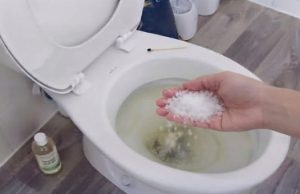 โยนเกลือหนึ่งกำมือลงในโถส้วม! เคล็ดลับง่าย ๆ ที่ทุกบ้านควรรู้ ช่วยประหยัดเงินได้มากกว่าที่คิด