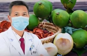 4 ผลไม้ใกล้ตัวที่ควรทานอย่างเหมาะสมเพื่อการดูแลสุขภาพในระยะยาว