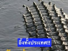 เจ้าของรร.ดังหายตัว หาไม่พบ แต่เจอจระเข้ยักษ์นอนท้องป่องแปลกๆ