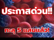 ทะลุ 5 แสนแล้ว! เปิดสถิติ 13 จังหวัด ที่มีผู้ติดเชื้อ HIV สูงสุด