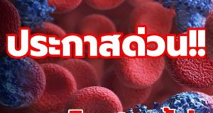 ทะลุ 5 แสนแล้ว! เปิดสถิติ 13 จังหวัด ที่มีผู้ติดเชื้อ HIV สูงสุด