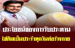 หัวข้อ: ประโยชน์ของการรับประทานไข่ต้มเป็นประจำทุกวันต่อร่างกาย
