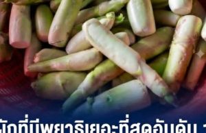 ผักที่มีพยาธิเยอะที่สุดอันดับ 1 คนไทยนิยมกินสด มีประโยชน์แต่ เสี่ยงปรสิตขึ้นสมอง
