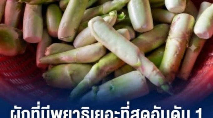 ผักที่มีพยาธิเยอะที่สุดอันดับ 1 คนไทยนิยมกินสด มีประโยชน์แต่ เสี่ยงปรสิตขึ้นสมอง