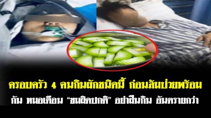 ครอบครัว 4 คนกินผักชนิดนี้ ก่อนล้มป่วยพร้อมกัน หมอเตือน “ขมผิดปกติ” อย่าฝืนกิน อันตรายกว่า