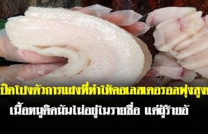 เปิดโปงตัวการแฝงที่ทำให้คอเลสเตอรอลพุ่งสูง! เนื้อหมูติดมันไม่อยู่ในรายชื่อ แต่ผู้ร้ายอั