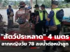ช็อก! “สัตว์ประหลาด” ยาวเกือบ 4 เมตร พุ่งจากน้ำลากหญิงวัย 78 ลงจากเรือต่อหน้าลูก