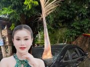 ส่องทะเบียน หมอลำสาว ฟาดเคราะห์ ทางมะพร้าวร่วงใส่รถ ทิ่มทะลุกระจก