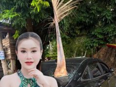 ส่องทะเบียน หมอลำสาว ฟาดเคราะห์ ทางมะพร้าวร่วงใส่รถ ทิ่มทะลุกระจก