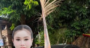 ส่องทะเบียน หมอลำสาว ฟาดเคราะห์ ทางมะพร้าวร่วงใส่รถ ทิ่มทะลุกระจก