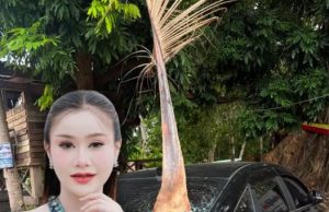ส่องทะเบียน หมอลำสาว ฟาดเคราะห์ ทางมะพร้าวร่วงใส่รถ ทิ่มทะลุกระจก