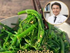 ผักไทยตัวนี้คือ “ตัวฆ่.าน้ำตาล” ของจริง! เบาหวานกลัวที่สุด นักวิจัยญี่ปุ่นยกย่องสรรพคุณ