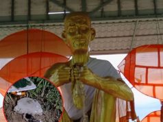 ฮือฮา! พญาบึ้งโผล่กระท่อมละสังขาร “หลวงปู่สรวง” แห่ส่องเลข