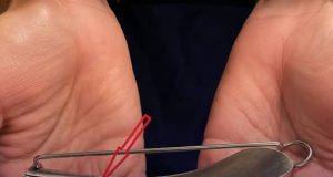 ไขปริศนาของใช้โบราณในลิ้นชัก อุปกรณ์วินเทจหาดูยากที่ หลายคนไม่เคยเห็น