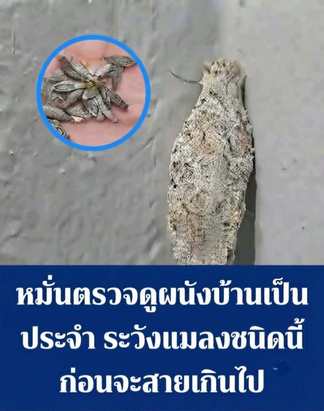 8FVOuiPGG-2iVc1DbKFKHWw2qozFCnbxuqJrTnV0E5dC-J2ESkL5uW_K6c8zl9BnX849snIlH1o9EbQoUY4mn0nE8bX-n8wEMBpZwRSQD-51lPF2VkwO_pkxLeO7TCvIPBYoXHU5JNocR5cTM-FtdomA7Yj8W4uIP7gePhx6Lsc-1