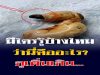 บทนำ: เรื่องราวชวนสงสัยในบ้านและสิ่งค้นพบใต้เตียง