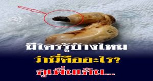 บทนำ: เรื่องราวชวนสงสัยในบ้านและสิ่งค้นพบใต้เตียง