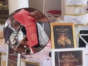 เลขประทัด พิธีมหาพุทธาภิเษก “หัวนะโม-พดด้วง” เกิดพระอาทิตย์ทรงกลด