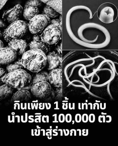 กินผักสดต้องระวัง! ผักและพืชน้ำบางชนิดอาจปนเปื้อนพยาธิ หากล้างหรือปรุงไม่ถูกวิธี