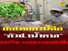 ผักไทยตัวนี้คือ “ตัวฆ่.าน้ำตาล” ของจริง! เบาหวานกลัวที่สุด นักวิจัยญี่ปุ่นยกย่องสรรพคุณ