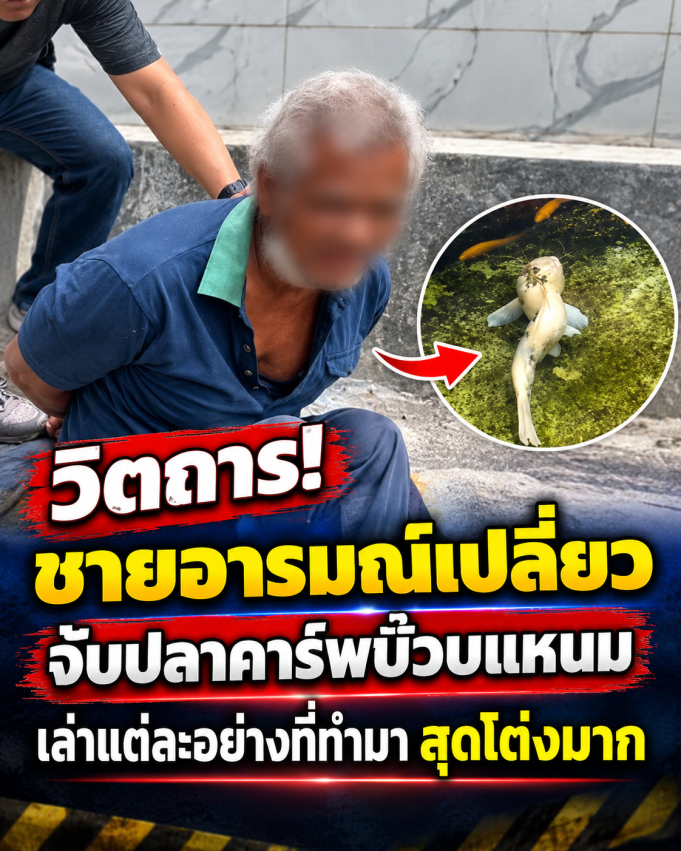 สุดวิตถาร! ชายอารมณ์เปลี่ยว จับปลาคาร์พบ๊วบแหนม แต่ไม่เอาปลาซัคเกอร์เพราะมีหนาม เจ้าตัวเล่าแต่ละอย่างที่ทำมา สุดโต่งมาก