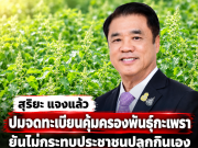 สุริยะ แจงแล้ว ปมจดทะเบียนคุ้มครองพันธุ์กะเพรา ยันไม่กระทบประชาชนปลูกกินเอง