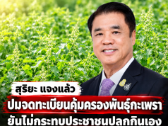 สุริยะ แจงแล้ว ปมจดทะเบียนคุ้มครองพันธุ์กะเพรา ยันไม่กระทบประชาชนปลูกกินเอง