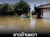 ชาวบ้านผวา พบจระเข้ยักษ์กว่า 3 เมตร ลอยอยู่กลางน้ำ