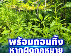 ชาวบ้านกังวล หลังเอกชนจดสิทธิ์ 4 สายพันธุ์ หวั่นกระทบวิถีชีวิต