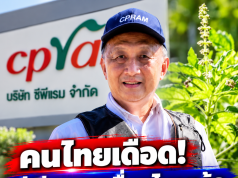 คนไทยเดือด! ซีพีแรม เคลื่อนไหวแล้ว ปมสิทธิพันธุ์กะเพรา