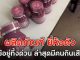 ใครใช้อยู่โยนทิ้งด่วน!! ผลิตภัณฑ์ ยี่ห้อดัง เห็นส่วนผสมแล้วตกใจ ล่าสุดมีคนกินเสียชีวิต